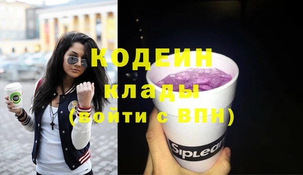 индика Беломорск