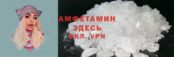 индика Беломорск