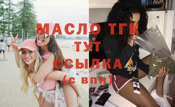 индика Беломорск