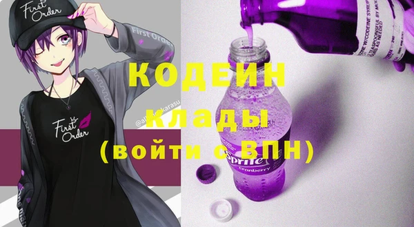индика Беломорск