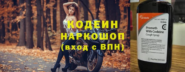 индика Беломорск