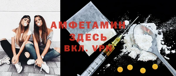 индика Беломорск
